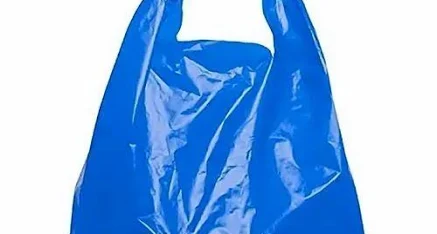 Plastic Bag Market Sustainability and Trends 2025