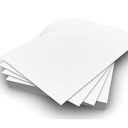 Solid Bleached Sulfate (SBS) Board Market Sustainability and Trends 2025